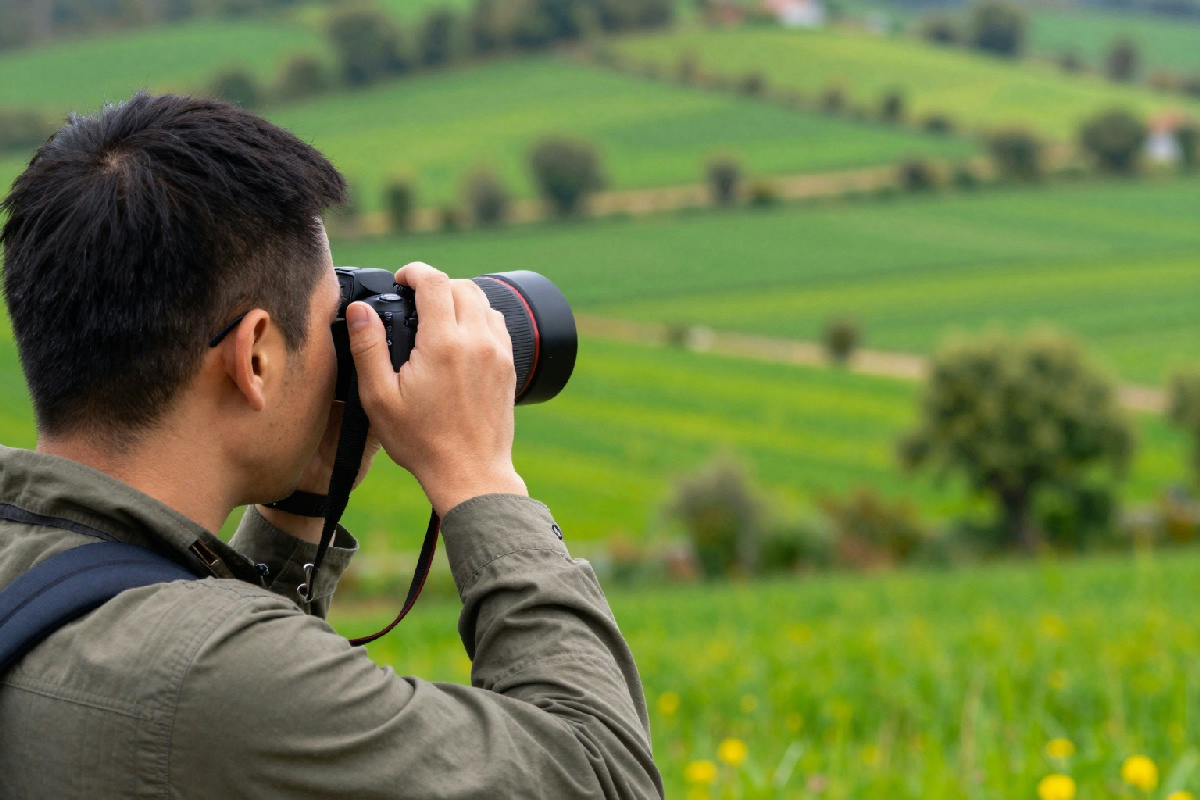 Se sei un appassionato di birdwatching, questa guida completa sarà il tuo compagno ideale per avventure all'aperto